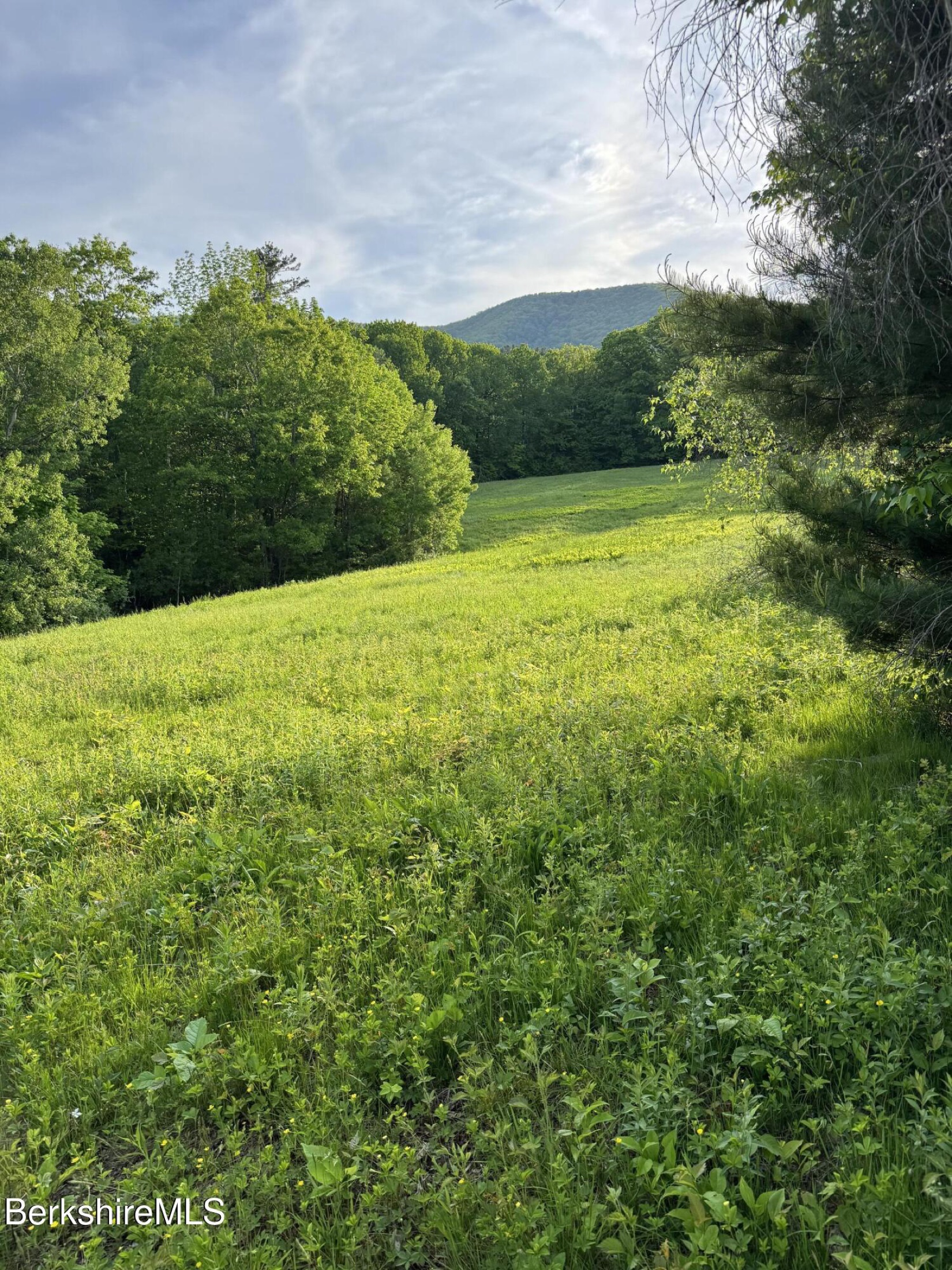 Lush summer meadow at High Meadows Farm sloping uphill toward a rounded green mountain framed by tree lines