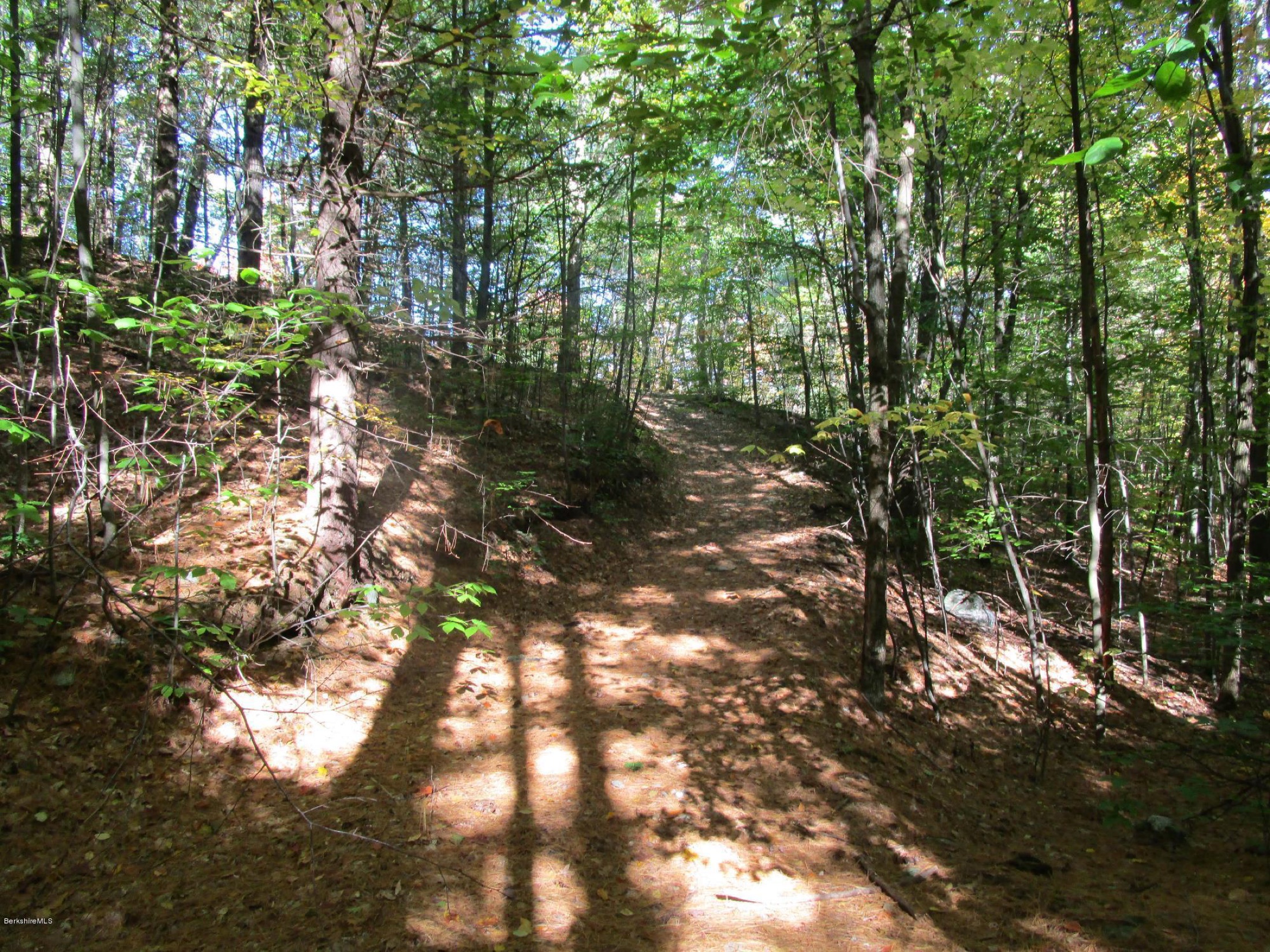 A wooded trail climbing a gentle rise at High Meadows Farm with sunlight falling through the trees onto the forest floor
