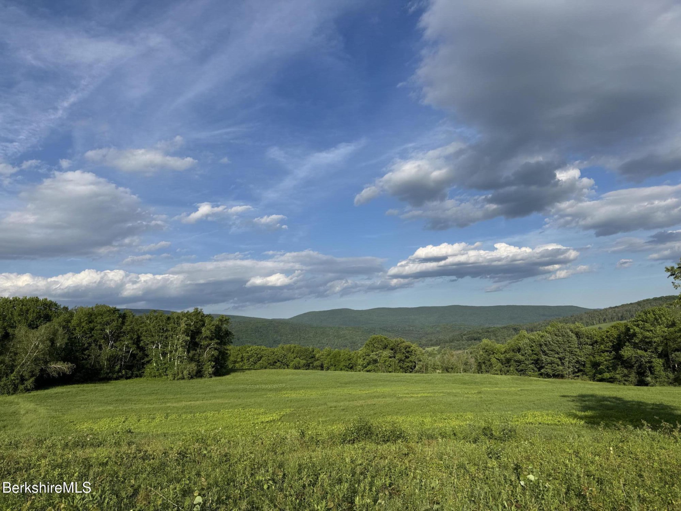 Sweeping open summer meadow at High Meadows Farm rising toward a low forested mountain ridge under a wide Vermont sky